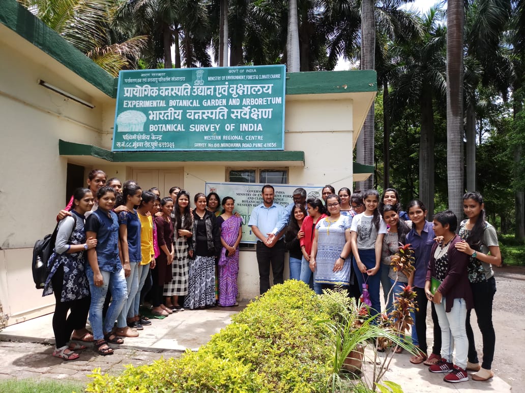 Tree Plantation NSS1